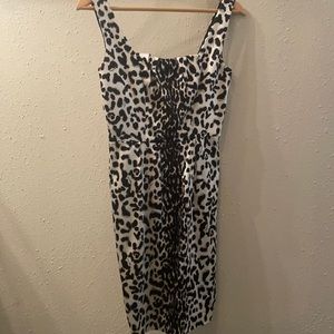 White House Black Market Leopard Cocktail Dress
